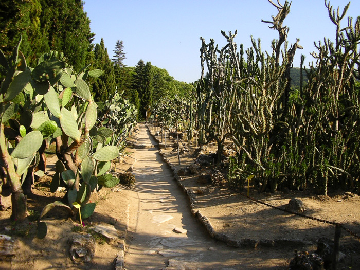 100 ���������� ������������ ������ - ������������-������ ��������  ������� �, ������ : c����� 3