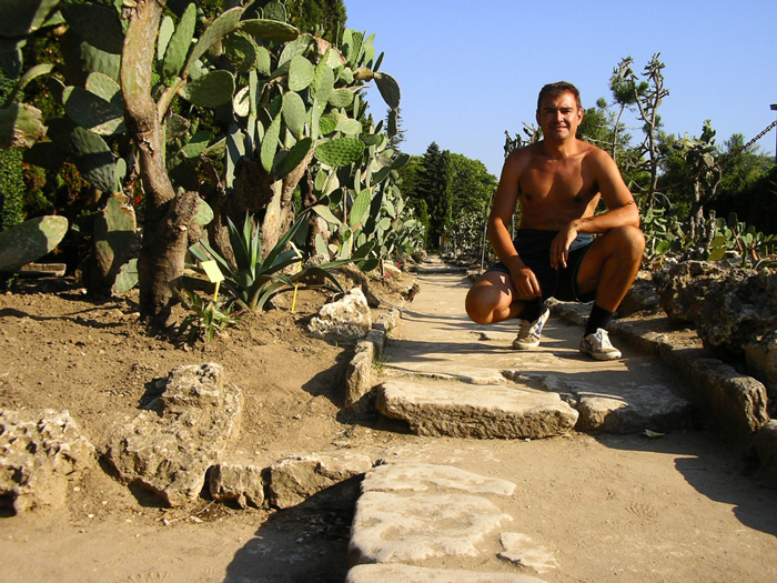 100 ���������� ������������ ������ - ������������-������ ��������  ������� �, ������ : c����� 6