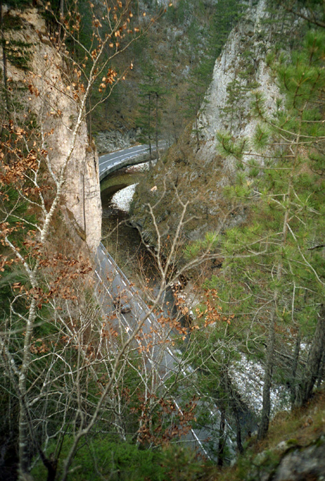 100 ���������� ������������ ������ : ��������� ������ - ������ : c����� 1