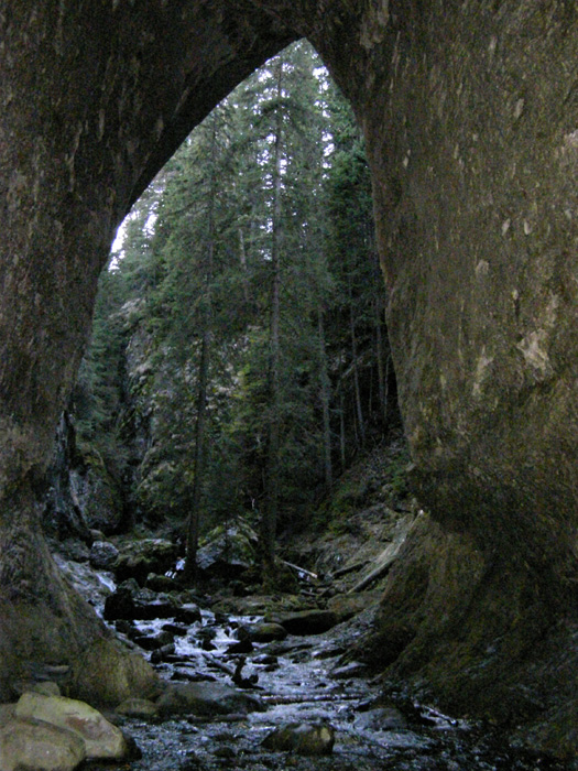 100 ���������� ������������ ������ - �������� ��������������� ������� �������: ������ 4