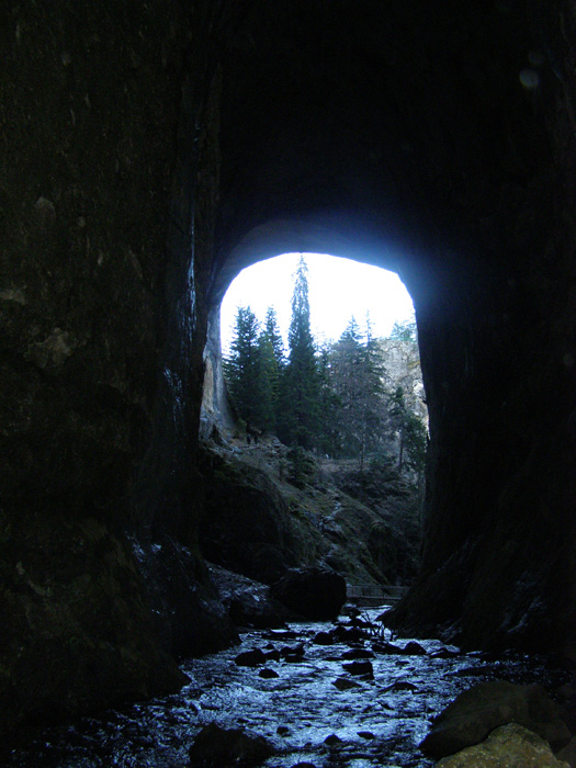 100 ���������� ������������ ������ - �������� ��������������� ������� �������: c����� 6