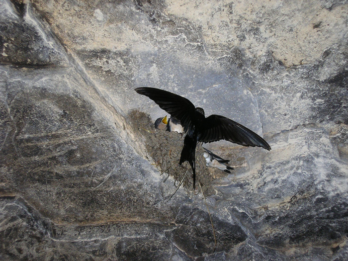 100 ���������� ������������ ������ - ��� �������� - �������������� �������� ��������: c����� 6