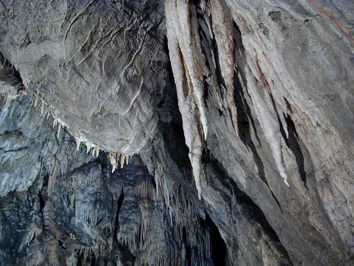 100 ���������� ������������ ������ - ��������� ������  : c����� 3