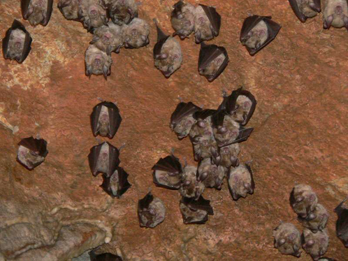 100 ���������� ������������ ������ - ������  �������� : c����� 2