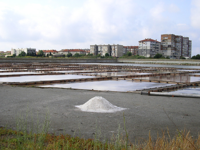 100 ���������� ������������ ������ : ����� �� ����� ���� ������� : c����� 1