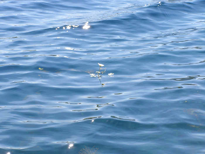 100 ���������� ������������ ������ - ���� ��������� � ������� ������ ����� : c����� 6