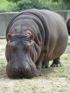 100 ���������� ������������ ������ - ������������ ������� ���� �����: c����� 2