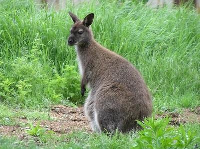 100 ���������� ������������ ������ - ������������ ������� ���� ����� : ������ 4