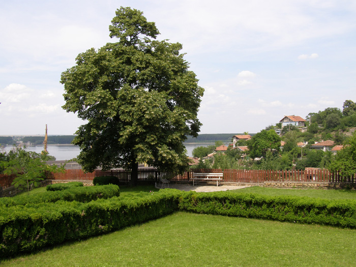 100 ���������� ������������ ������ - ����-����� ����� ������������ ���� ������: c����� 6