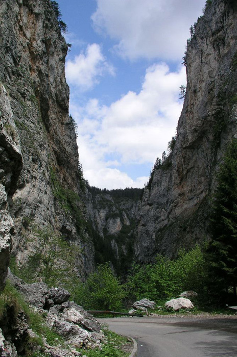 100 ���������� ������������ ������ - ���������� ������ : c����� 1