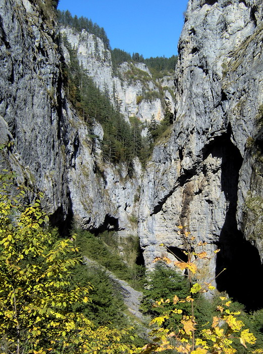 100 ���������� ������������ ������ - ���������� ������: c����� 2