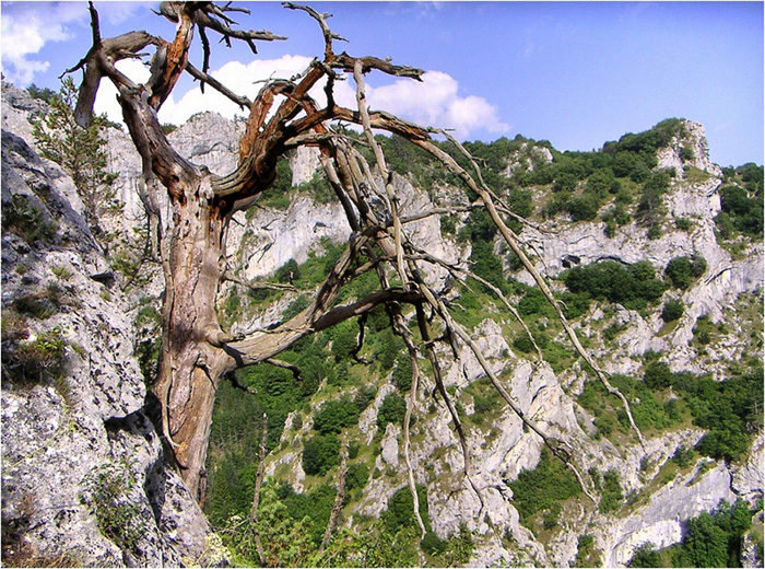 100 ���������� ������������ ������ - ���������� ������: c����� 6